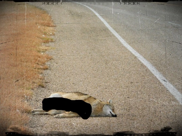 993534335A07C84812B5CF