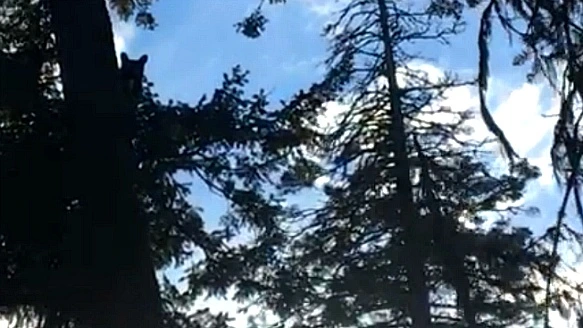 997157465BAB076B2F8328