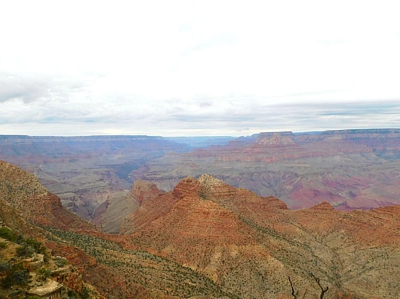 995F0C405BC9501921E590