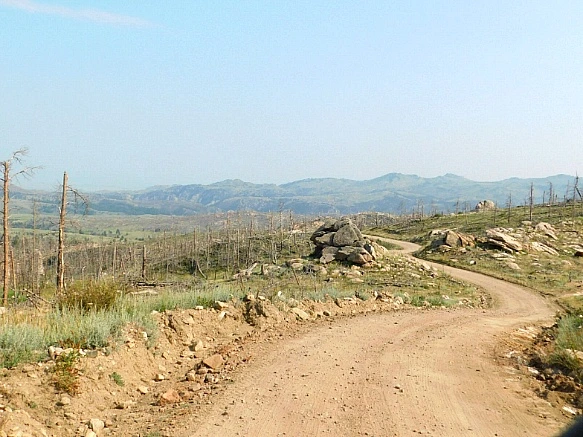 99058E4E5B7654423ADD01