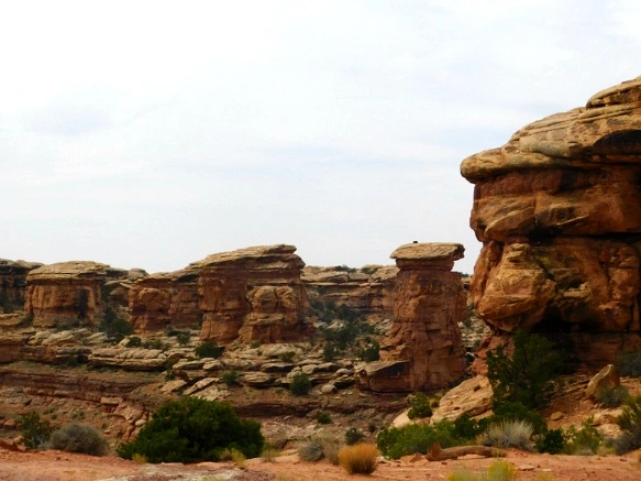 99BF0A3359B482AC092C32