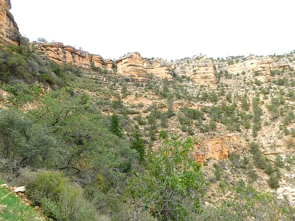 997F03385BC9513A2B211D