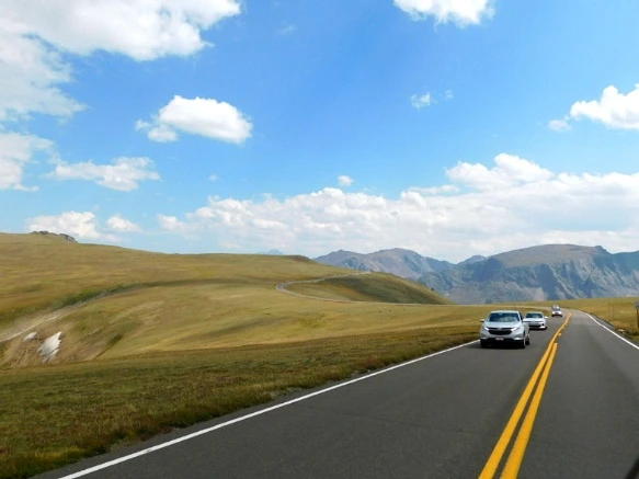 991BB54C5B6E6A5F170950