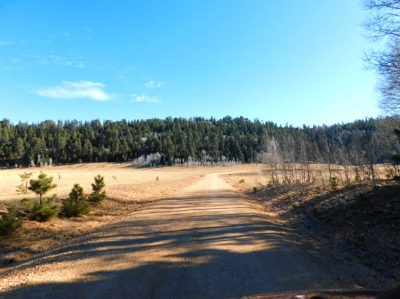 99FB4E335A1E252C1CD83E