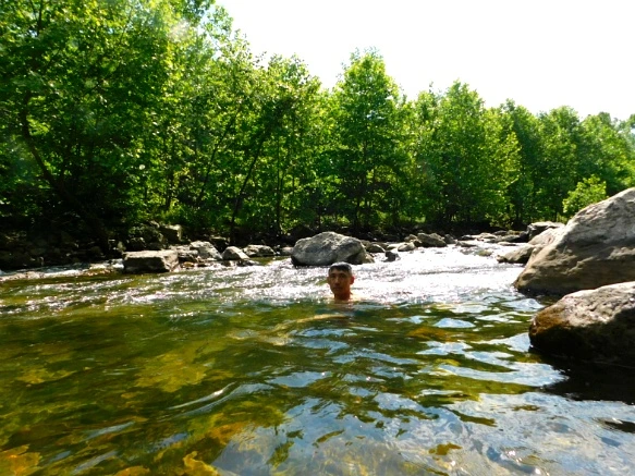 23103D43594C77122F86EA