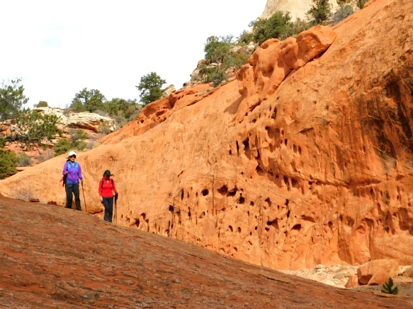 990CEA335A18D4DC1FA996