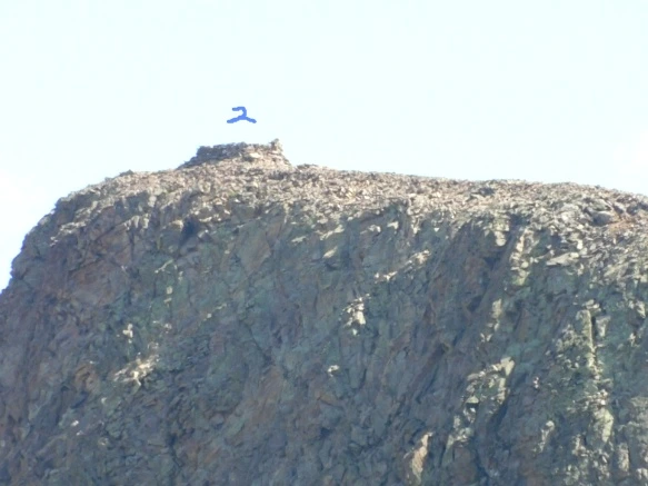 99A391505B6BA3301ABB4D