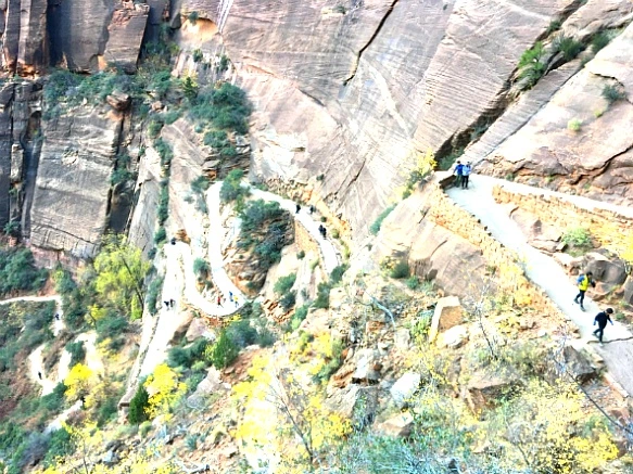 996BD0335A1CBE271D1C86