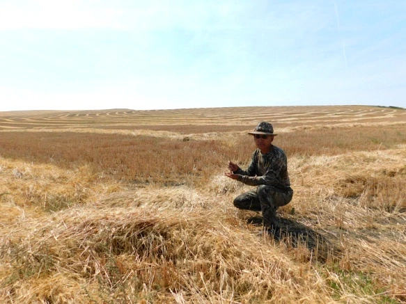 9924B533599F9D620305EB