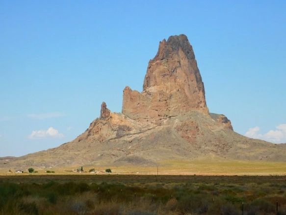 994DC83359BDC032120496