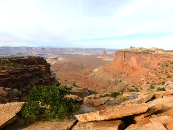 995C26335A0E547E0518F1