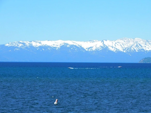 2127EB4C593206332A3FEE