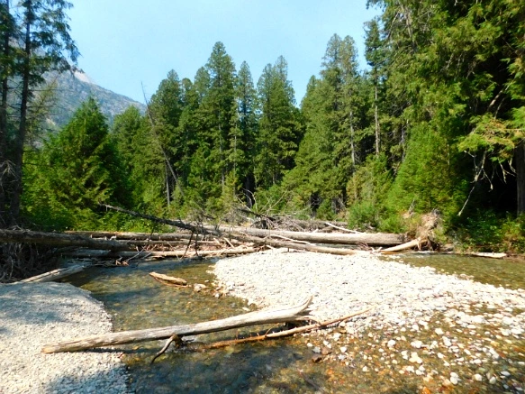 99895C3359A248532FA919