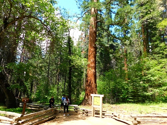 2232EB4457736C262D59ED