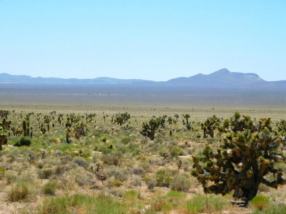 26293A42576CC6713232B6