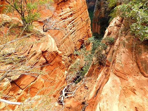 9942154E5BC69A201DBD6F