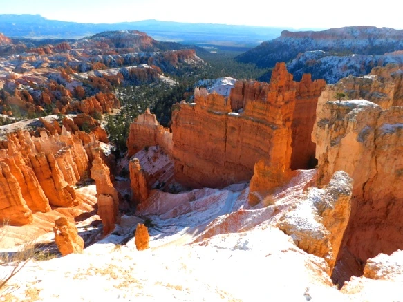 996E27335A1A38862B95A7