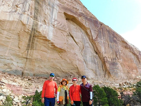 99020B435BC2B42A332287