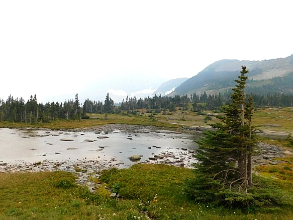 9917633E5B8A03742E21F4