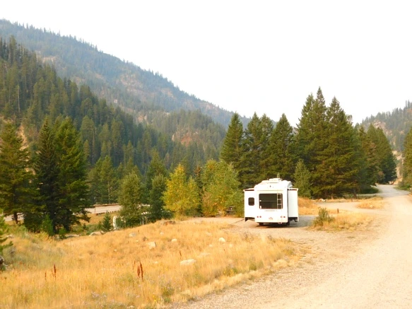 9917303359B1EA8A2D3143