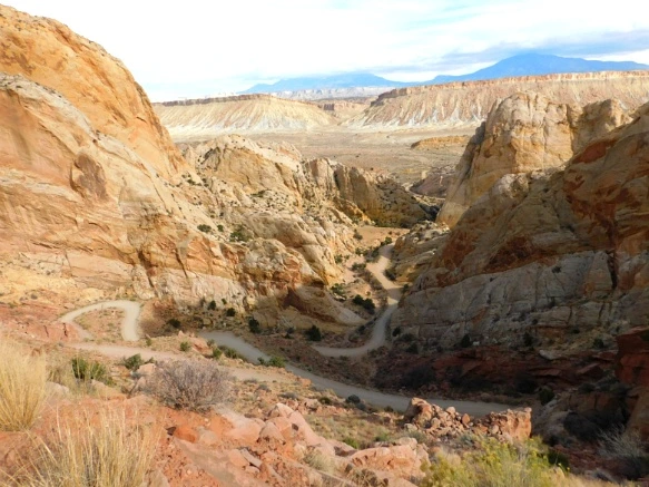 99668A335A18D4C019D84C