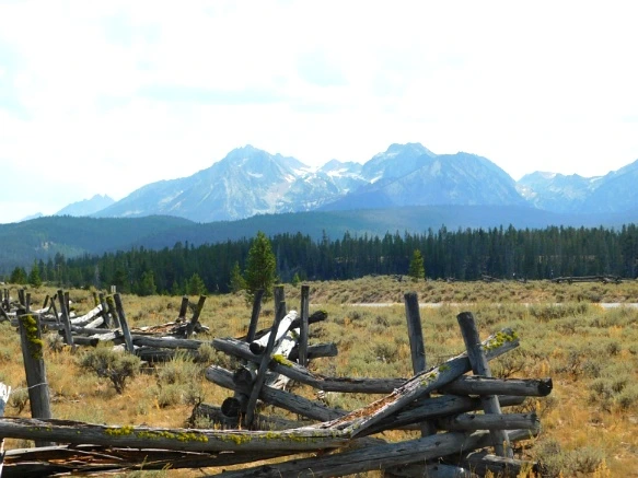 998C723359A9EBDD1FFEE4