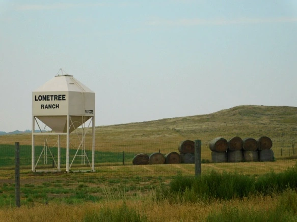 991941425B77A1B80BB4C1