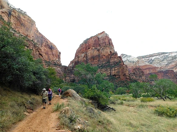 9945EB505BC6951A0E6C8F