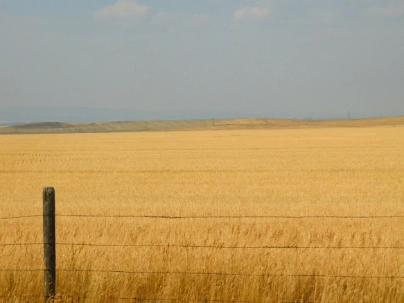 99D0BD33599E4F3F0CD813