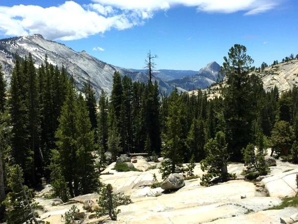 2239BD3457736F8D173E6C