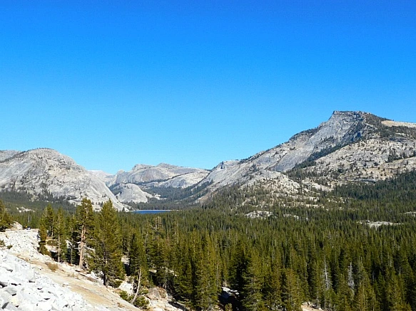 99AE4A385BD66E3C2C4BEE