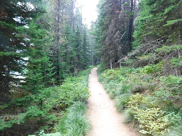 998D99405B8C9E92220B74