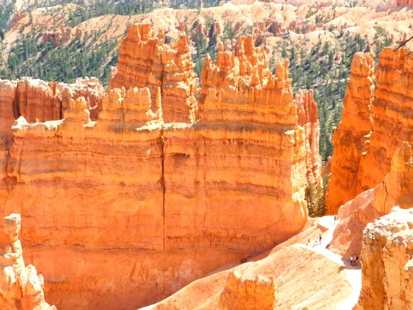 9949653359B87885134DED