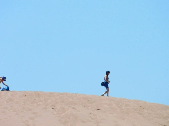 99AEEA435B69207C02EB73