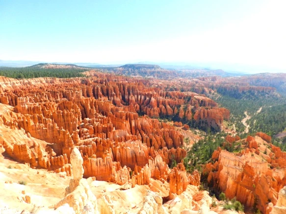 2771AF335769D7480FBCC8