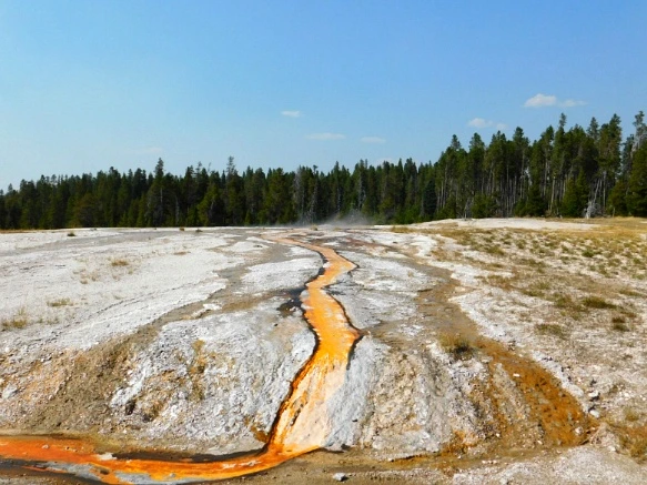 99EEAB3359ADFC95156083