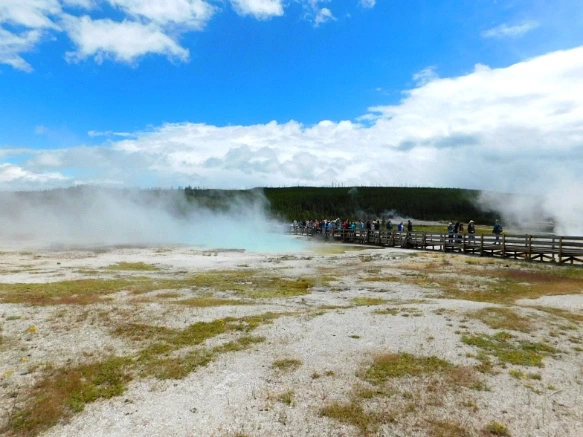 990D2E4E5B39A59C2BAC43