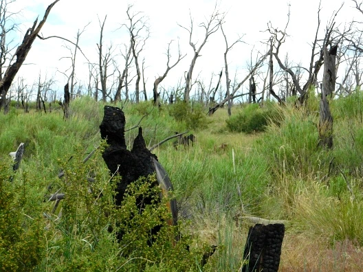 277ECF4657622AF0017855