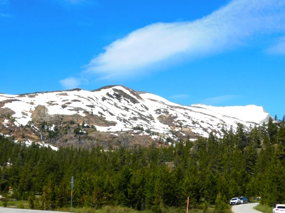 23106645577218952DB947