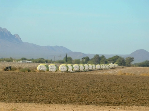 992122335A28AE620D8CF7