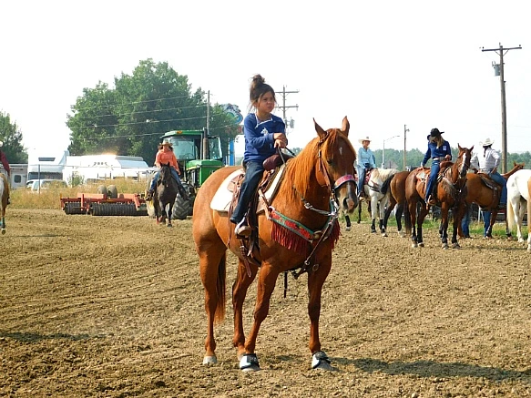 99E529355B7A349811A8D1