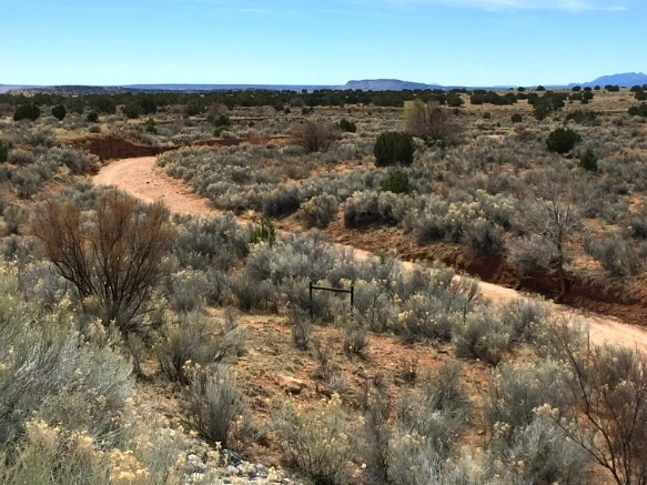 2467394B571C41AF359B5A