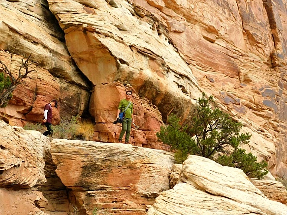 994C12455BC2B46B03DB6C