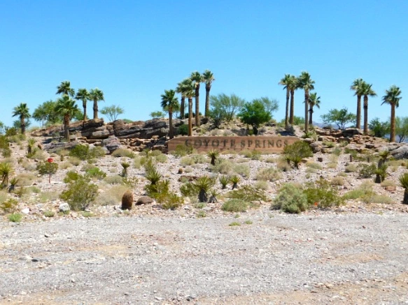 25658046576CC61F22CA92