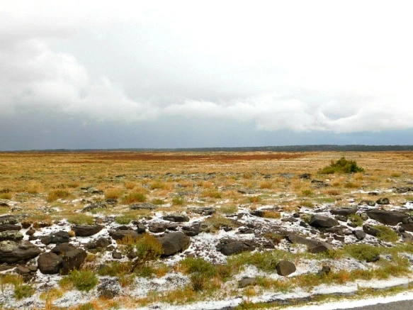 9906D83359BF4BFD2492DE