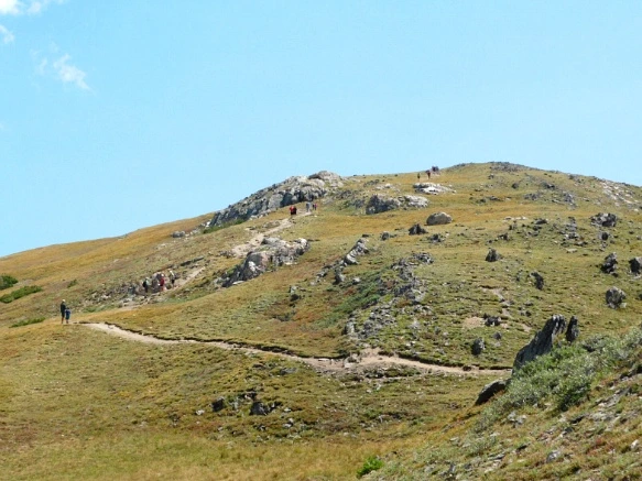 993240495B74D021085F6B