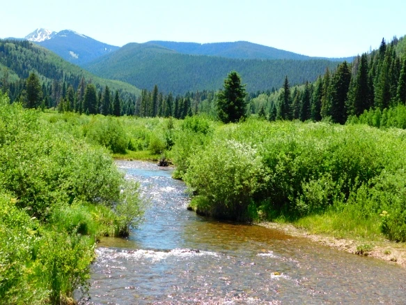 27017D4E595C2C9D07B0E4