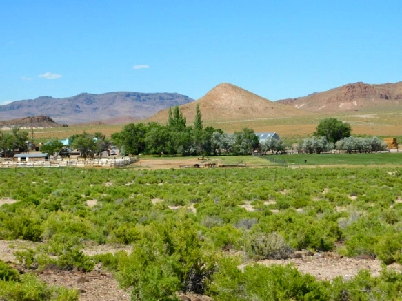 2671033D576F44D120A819