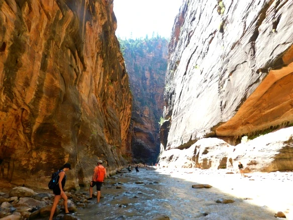 9965C63359BB14EA33D019