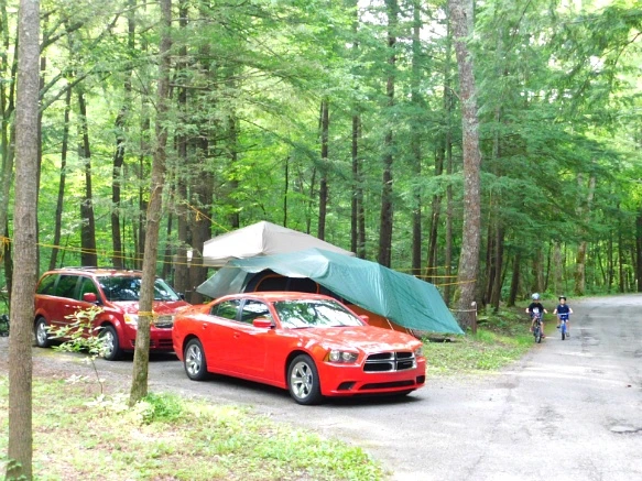 22510E4E59509A1F1FC576